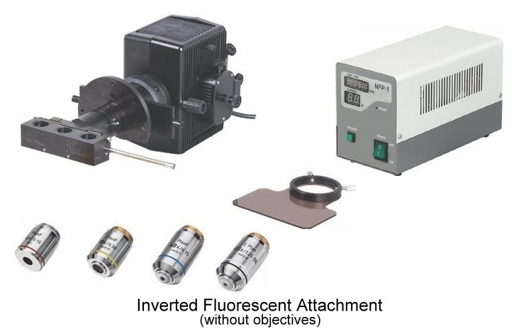 BOECO Inverted Biological Microscope BIB-100 3