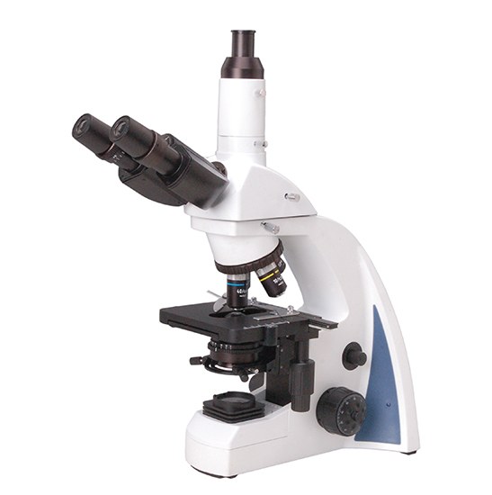 BestScope BS-2040T Trinocular Biological Microscope