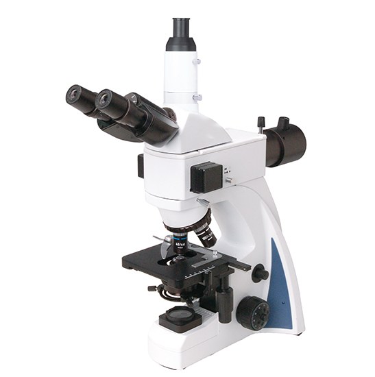 BestScope BS-2040FT(LED, TB) Fluorescent Trinocular Biological Microscope