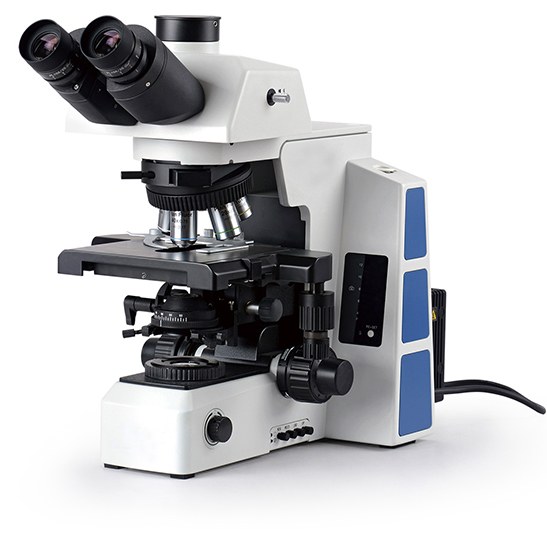 BestScope BS-2082 Research Biological Microscope