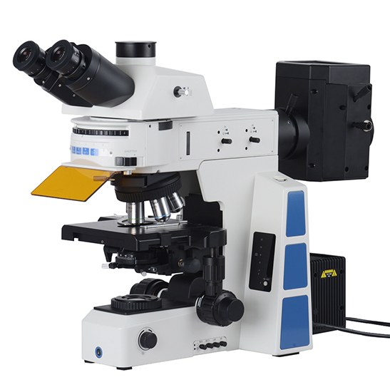 BestScope BS-2082F Research Biological Fluorescent Microscope
