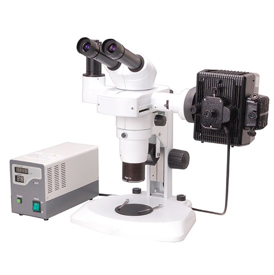 BestScope BS-3060FA Fluorescent Binocular Stereo Microscope