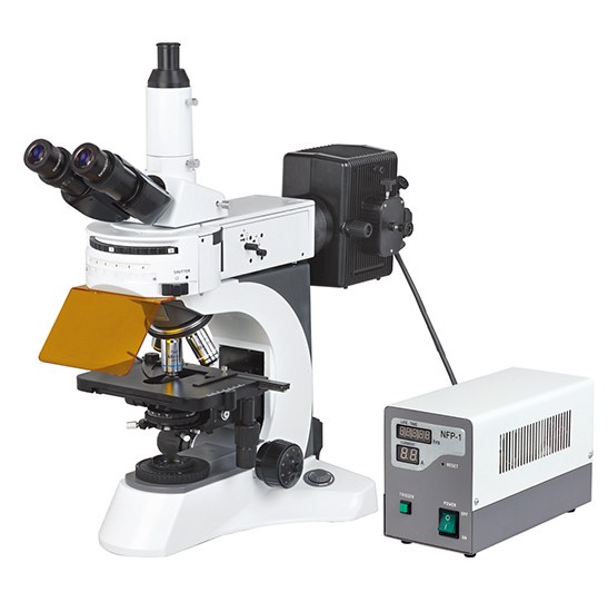 BestScope BS-7000A Upright Fluorescent Biological Microscope
