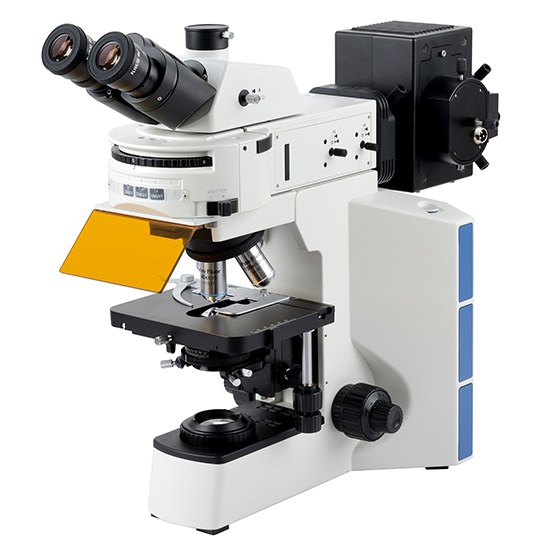 BestScope BS-2064FT Fluorescent Trinocular Biological Microscope