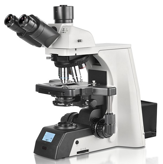 BestScope BS-2081L Research Biological Microscope