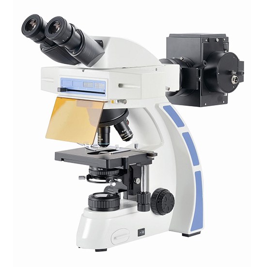 BestScope BS-2044FB Fluorescent Binocular Biological Microscope