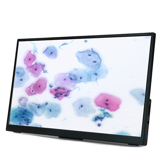 BestScope BLC-280 13.3 Inch C-mount HDMI+USB Output CMOS LCD Microscope Camera (IMX415 Sensor, 8.0MP)