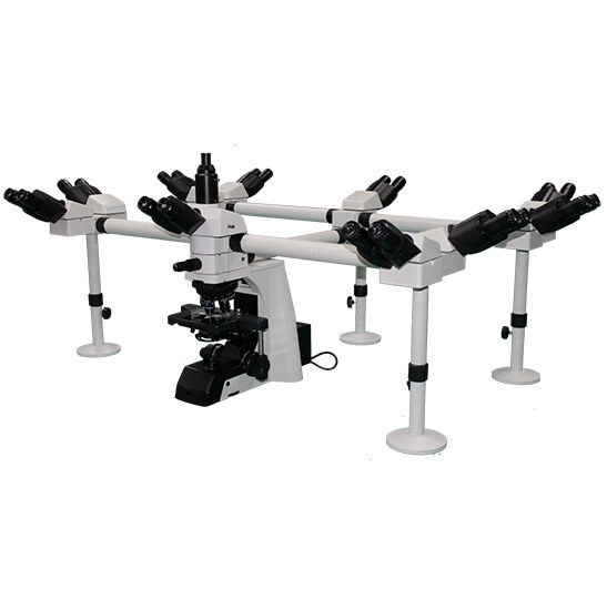 BestScope BS-2081MH20 Multi-Head Microscope