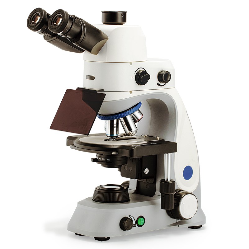 BestScope BS-2047FT (LED, TB) Fluorescent Trinocular Biological Microscope