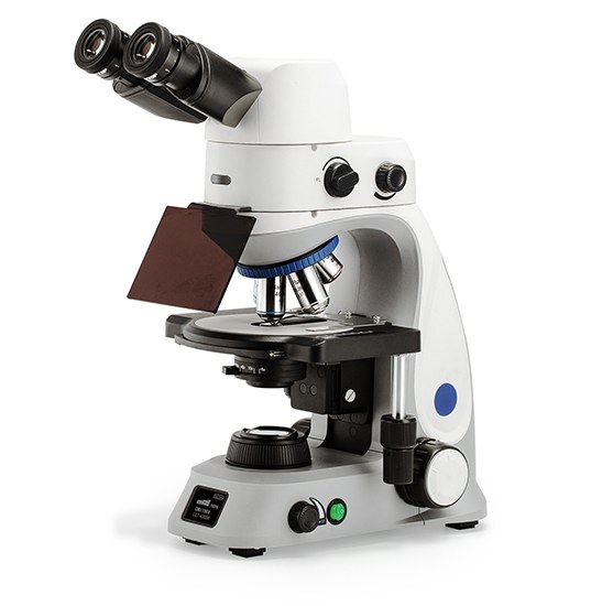 BestScope BS-2048FB(LED, TB) Fluorescent Binocular Biological Microscope
