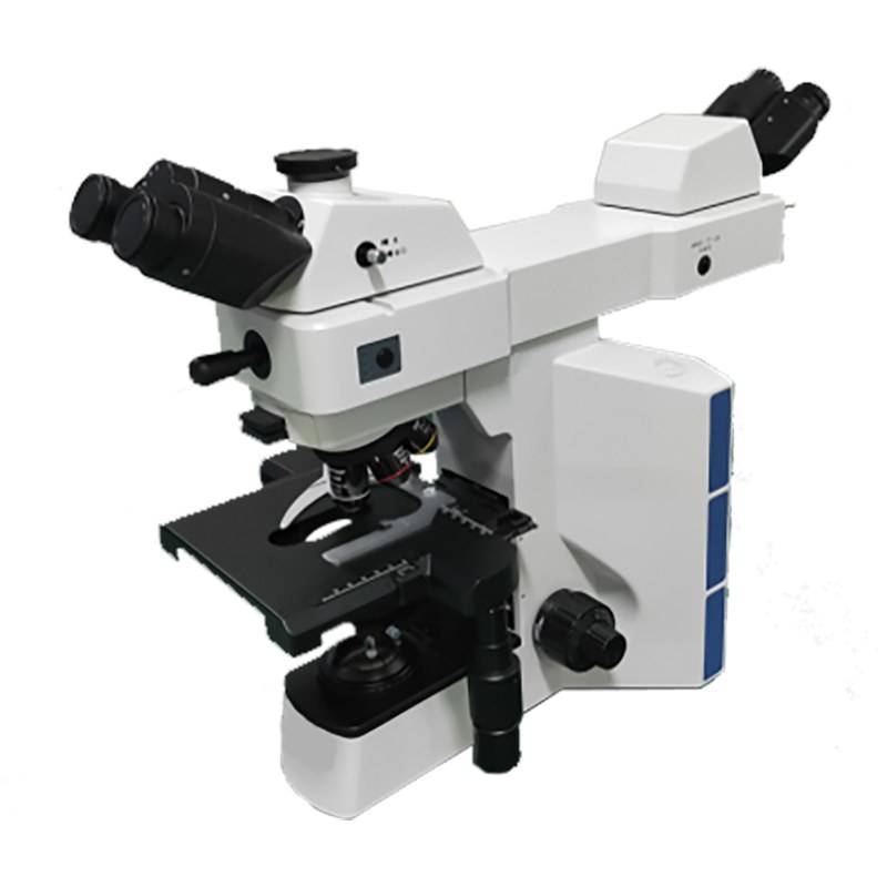 BestScope BS-2064MH4 Multi Viewing Biological Microscope