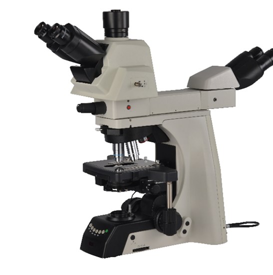 BestScope BS-2081MH4A Multi-Head Microscope
