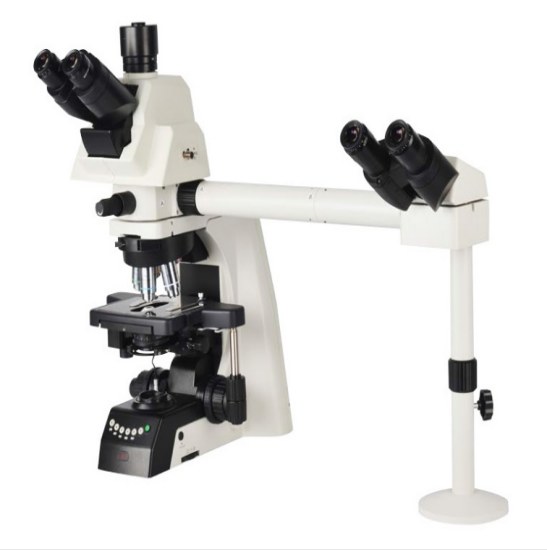 BestScope BS-2081MH4B Multi-Head Microscope