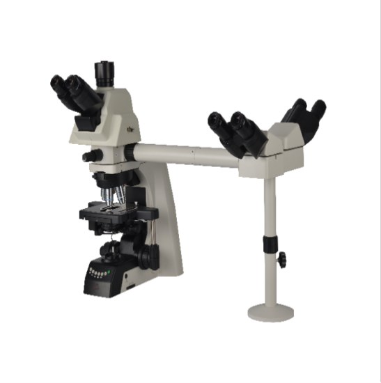 BestScope BS-2081MH6 Multi-Head Microscope
