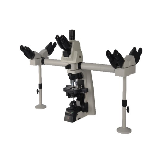 BestScope BS-2081MH10 Multi-Head Microscope
