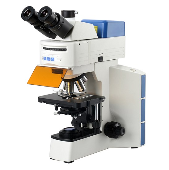 BestScope BS-2064FT(LED) Fluorescent Trinocular Biological Microscope