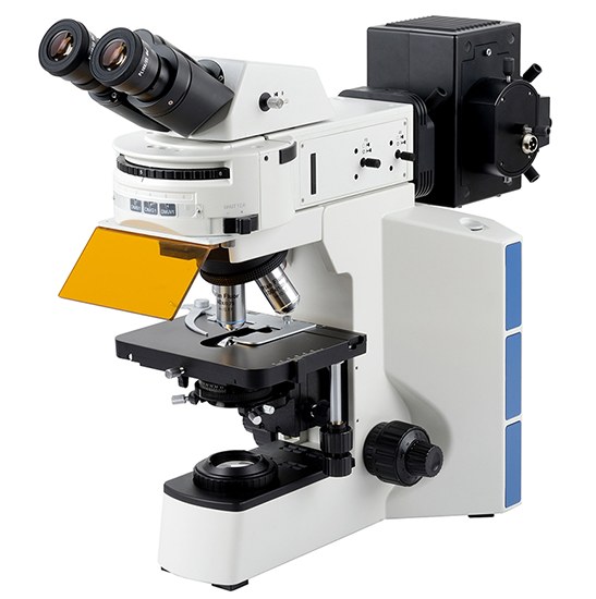 BestScope BS-2064FB Binocular Biological Microscope
