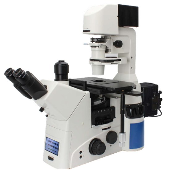 BestScope BS-2095BF Research Inverted Microscope