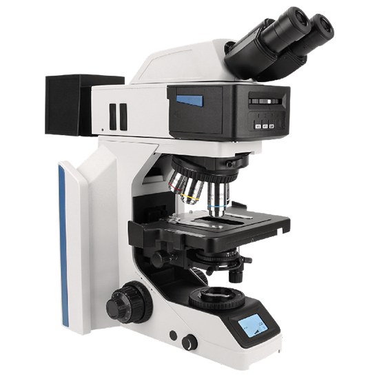 BestScope BS-2076FB Research Fluorescent Biological Microscope