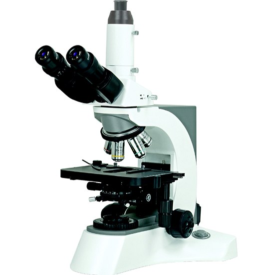 BestScope BS-2080 Series Biological Microscopes