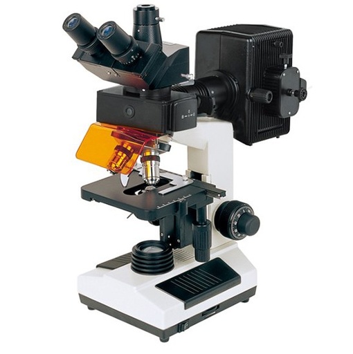 BestScope BS-2030FT Fluorescent Trinocular Biological Microscope