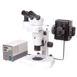 [BS-3060FB] BestScope BS-3060FB Fluorescent Binocular Stereo Microscope