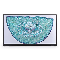[HD1080P133A] BestScope HD1080P133A HDMI Displayer (LCD Screen)