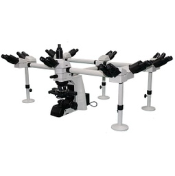 [BS-2081MH20] BestScope BS-2081MH20 Multi-Head Microscope